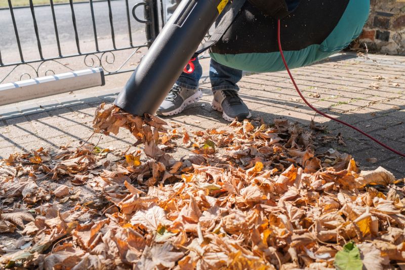 Leaf Cleanup Equipment