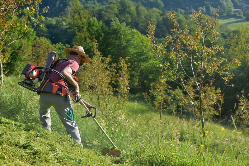 High Grass Trimming
