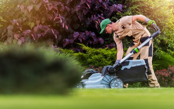 Cost of Lawn Care And Maintenance in Clearfield
