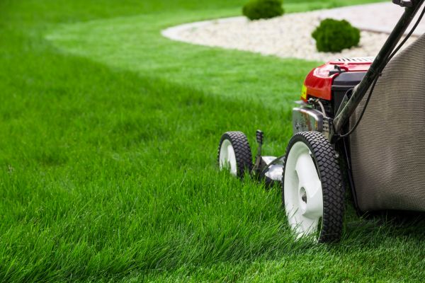 Cost of Mowing Service in Clearfield
