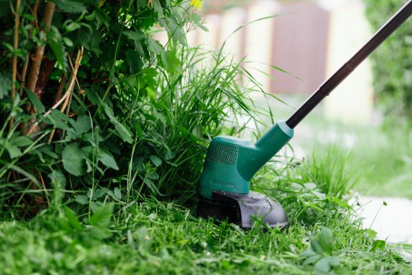 Cost of Weed Whacking in Clearfield