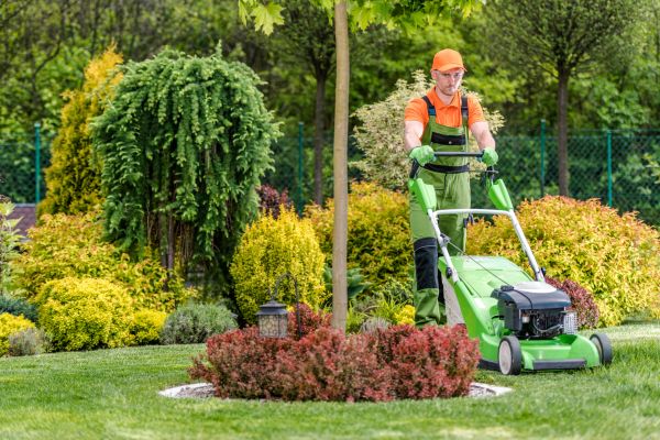 Cost of Yard Service in Clearfield