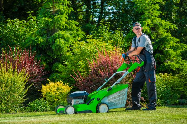 Cost of Yard Work Service in Clearfield