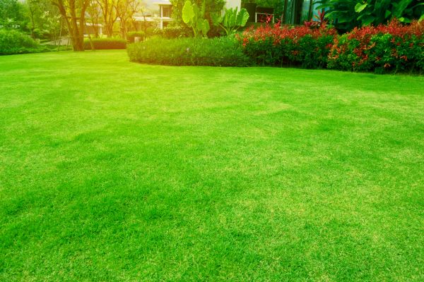 Cost of Grass Maintenance in Clearfield
