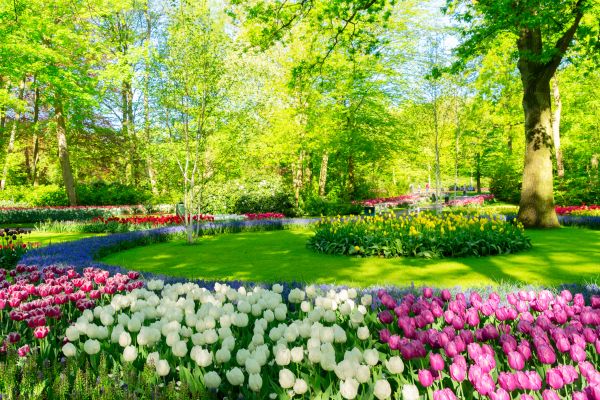 Cost of Spring Lawn Care in Clearfield