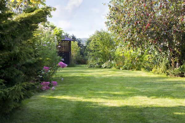 Cost of Yard Upkeep Service in Clearfield