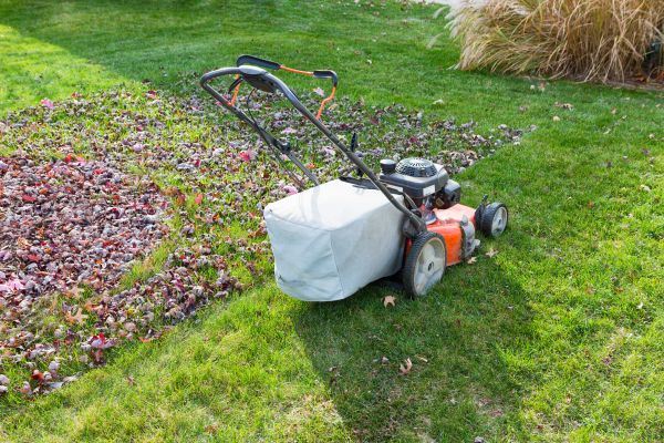 Cost of Seasonal Lawn Care in Clearfield
