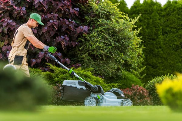 Cost of Lawn Management in Clearfield