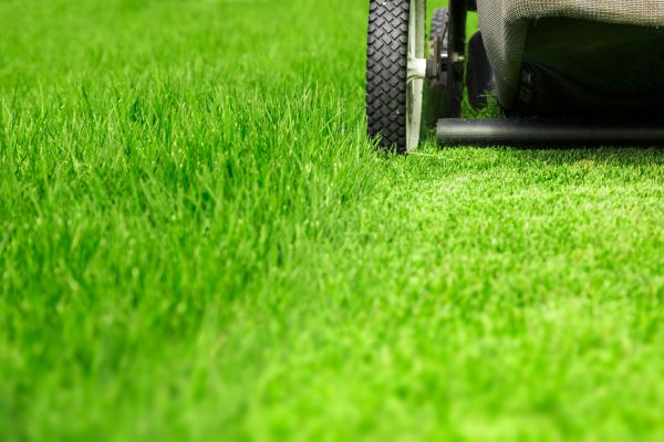 Cost of Weekly Lawn Care in Clearfield