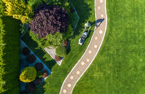 Cost of Mowing And Landscaping in Clearfield