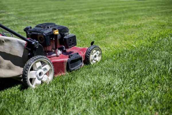 Cost of Routine Lawn Care in Clearfield