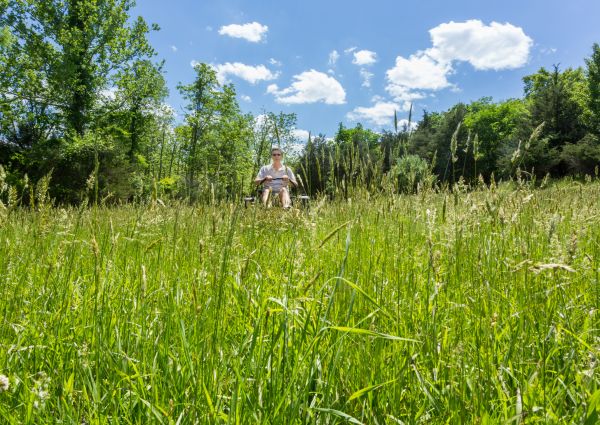 Cost of Long Grass Mowing in Clearfield