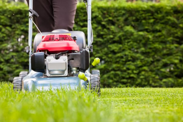 Cost of Grass Trimming Service in Clearfield