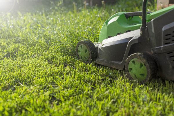 Cost of Yard Trimming in Clearfield