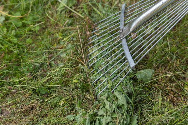 Cost of Thatch Raking in Clearfield
