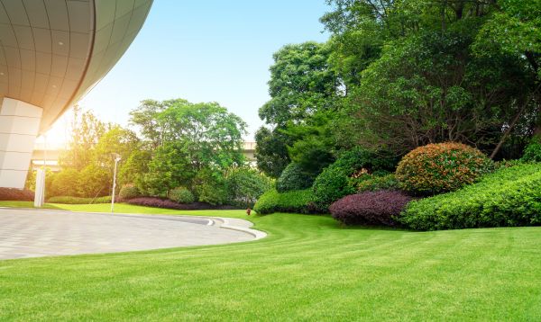 Cost of Business Groundskeeping in Clearfield