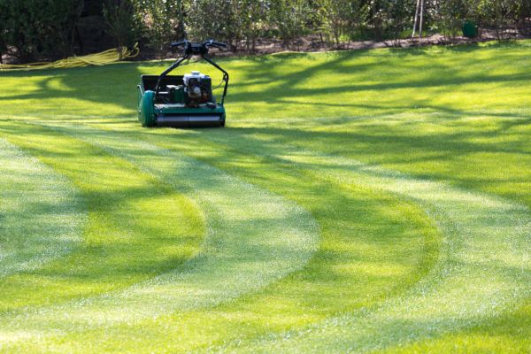 Business Lawn Mowing in Clearfield
