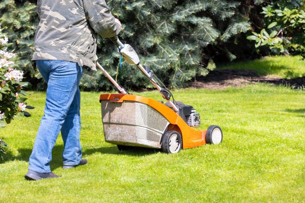 Cost of Springtime Lawn Care in Clearfield