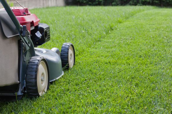 Cost of Spring Lawn Maintenance in Clearfield