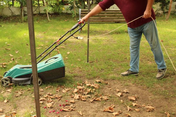 Cost of Leaves Mowing in Clearfield