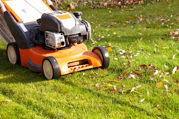 Cost of Fall Mowing in Clearfield