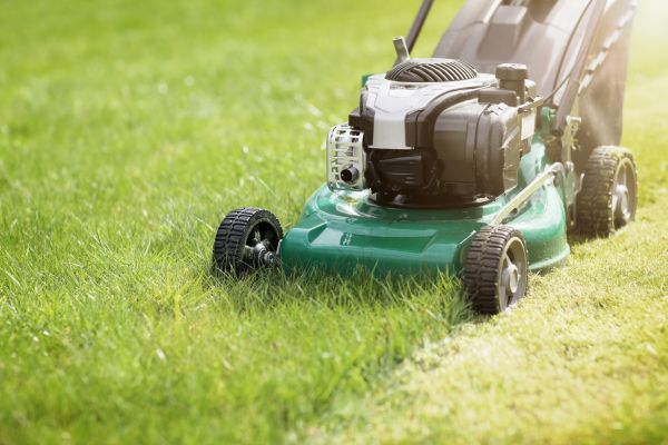 Cost of Spring Grass Trimming in Clearfield