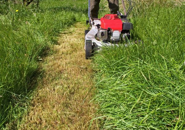 Cost of Leaf Mowing in Clearfield