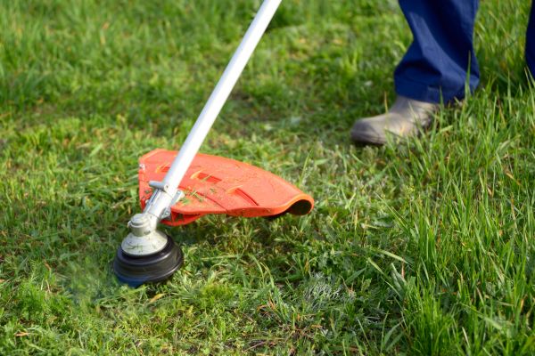 Cost of Lawn Weed Whacking in Clearfield