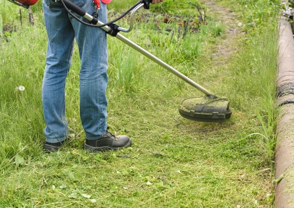 Cost of Tall Grass Trimming in Clearfield